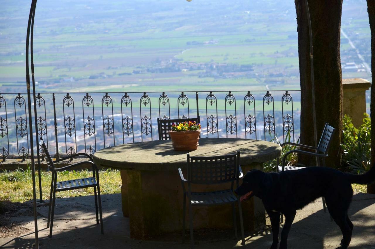 Donnaberarda Appartement Cortona Buitenkant foto