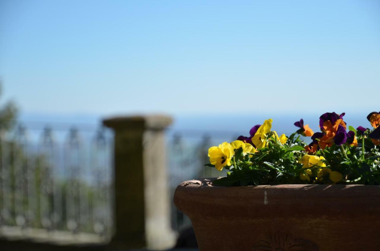 Donnaberarda Appartement Cortona Buitenkant foto